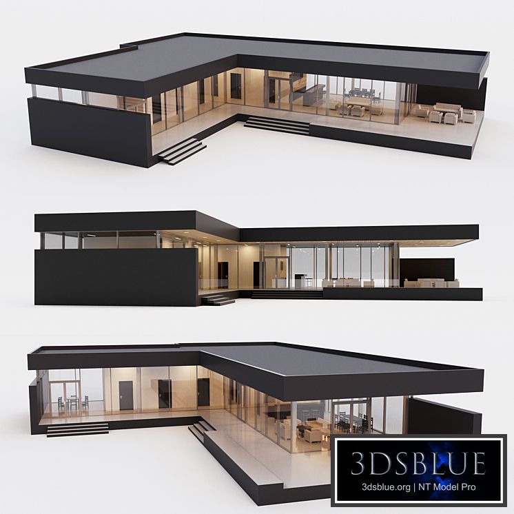 House. Villa. 2 3DS Max - thumbnail 3