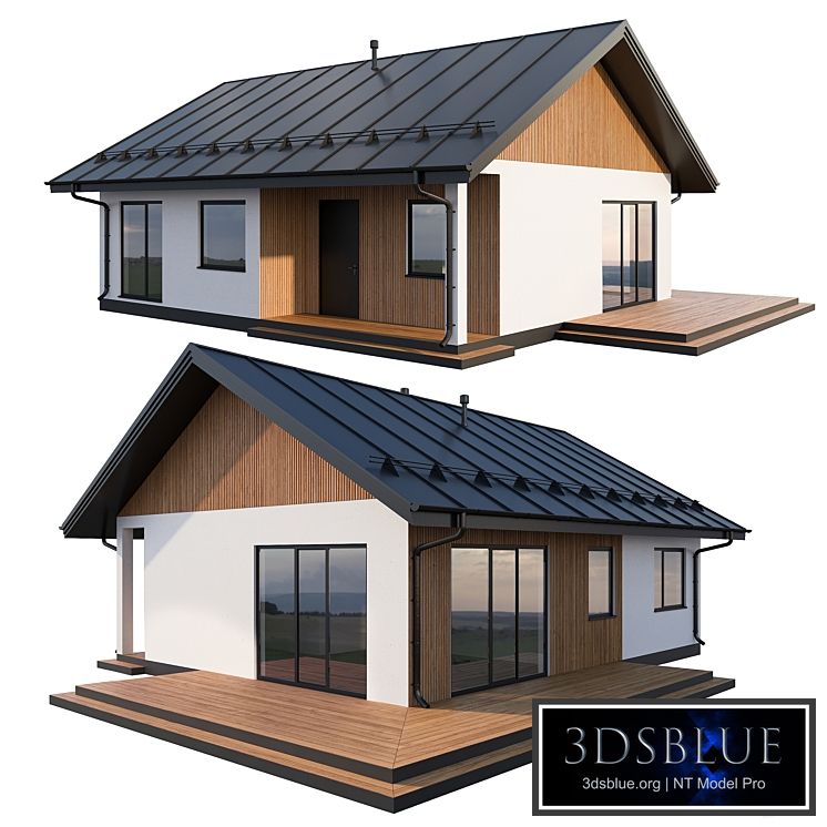 Modern cottage with click seam roof 3DS Max - thumbnail 3