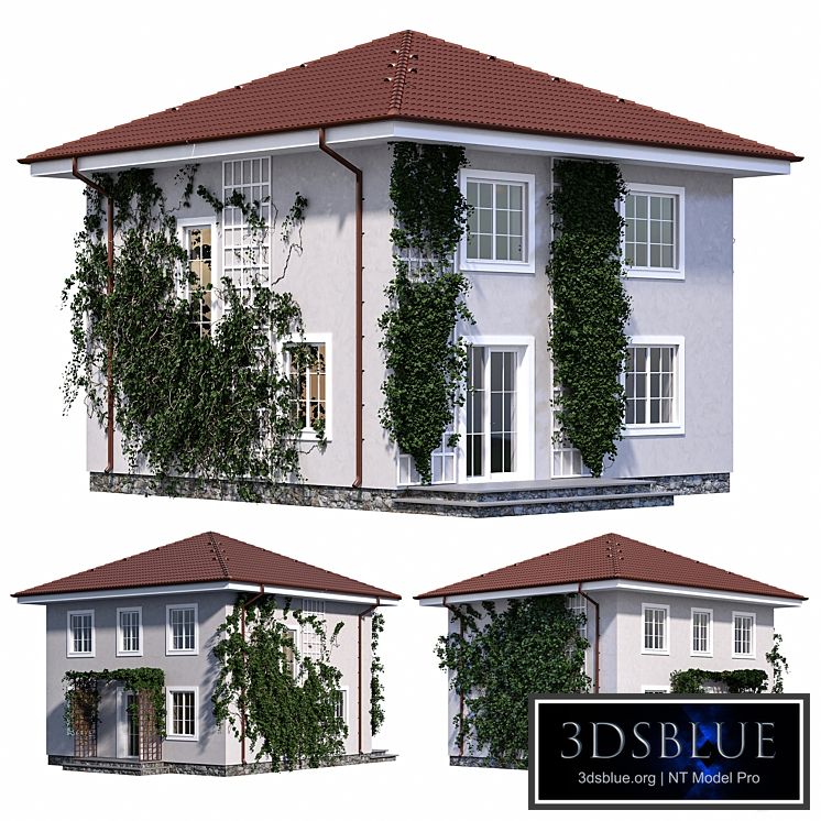 Two-storey house with ivy 3DS Max - thumbnail 3