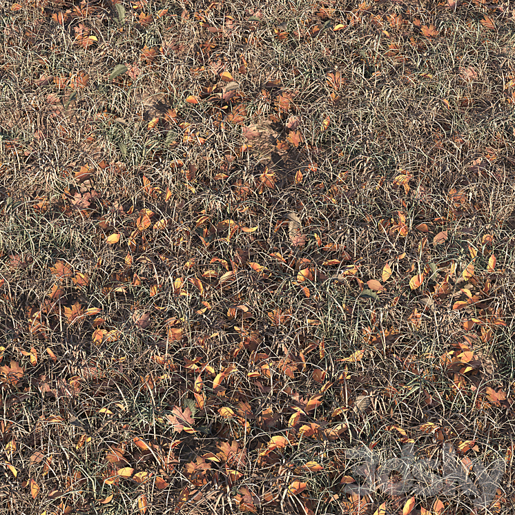 Autumn grass 3DS Max - thumbnail 1