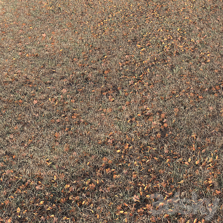 Autumn grass 3DS Max - thumbnail 2