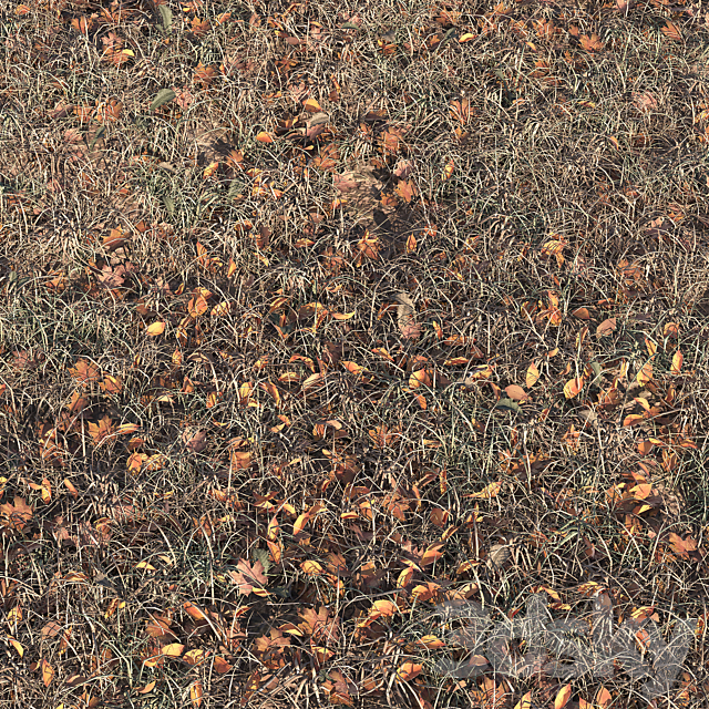 Autumn grass 3DS Max Model - thumbnail 1