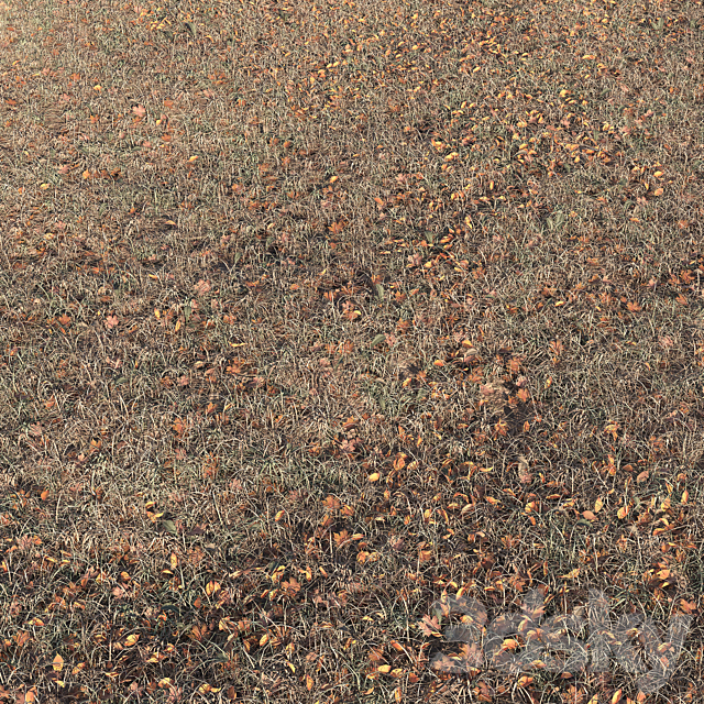 Autumn grass 3DS Max Model - thumbnail 2