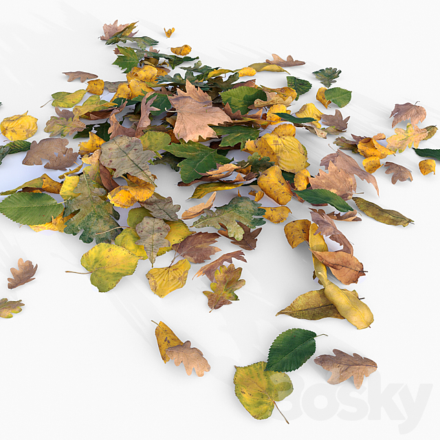 Autumn leaves 3DS Max Model - thumbnail 4