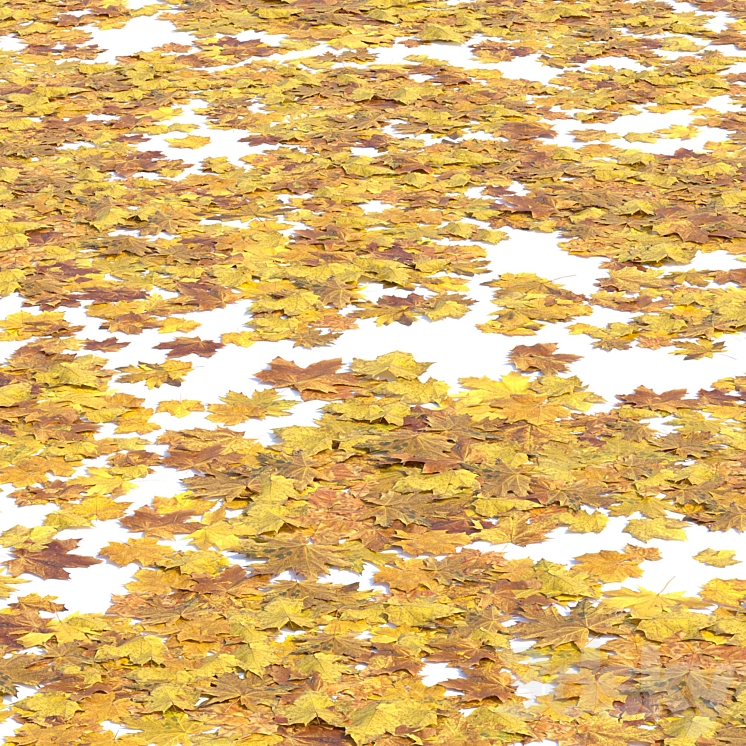 Autumn leaves. Set of dry leaves 3DS Max - thumbnail 2