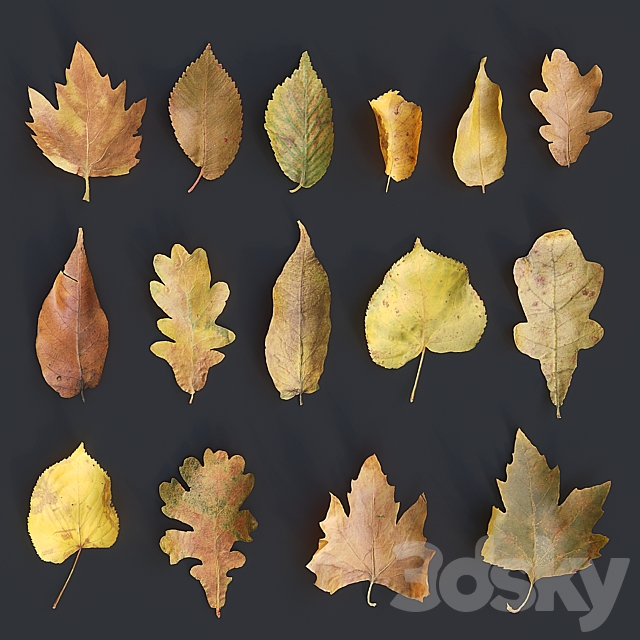 Autumn leaves. yellow 3ds Max - thumbnail 2