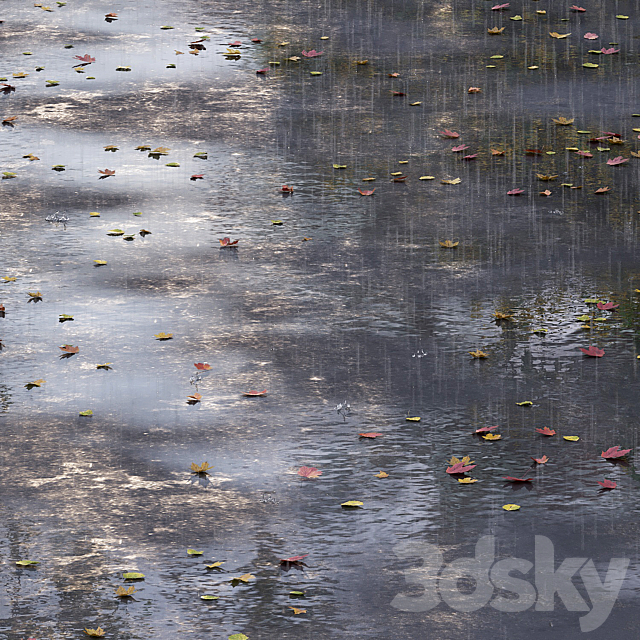 Autumn road with leaves and puddles 3DS Max Model - thumbnail 2