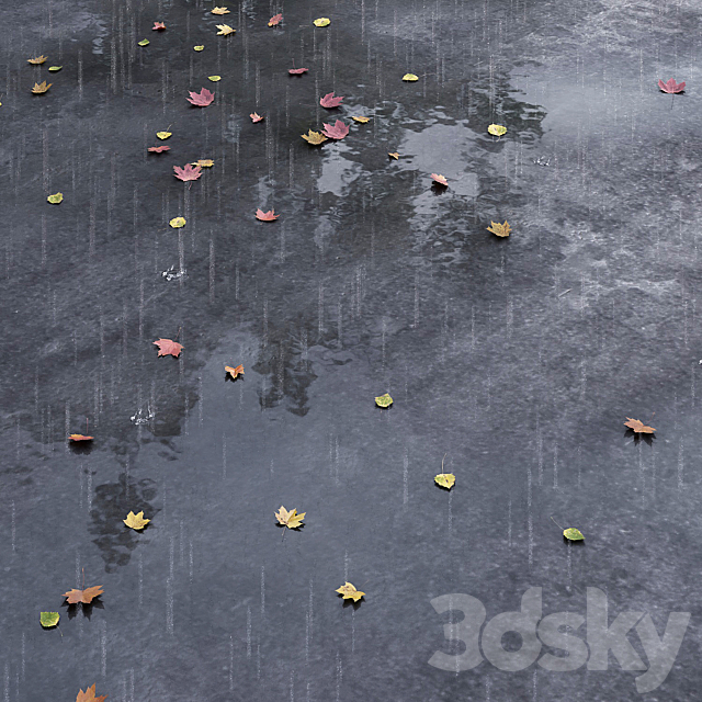 Autumn road with leaves and puddles 3DS Max Model - thumbnail 3