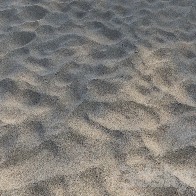 Beach sand 3DS Max Model - thumbnail 4