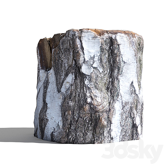 Cutted trunk 3DS Max Model - thumbnail 2