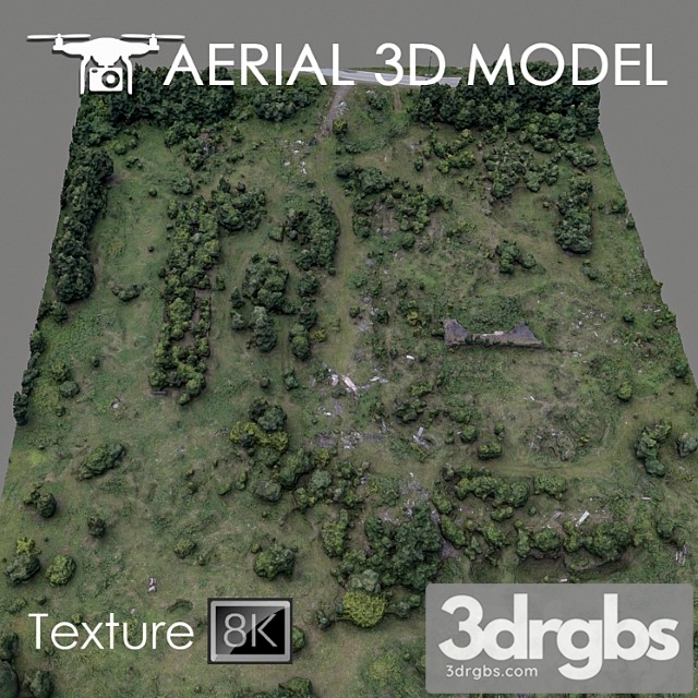 Forest 60 3dsmax Download - thumbnail 1