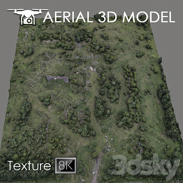 Forest 60 3DSMax File - thumbnail 2