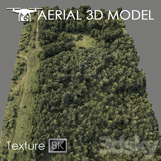 Forest 74 3DSMax File - thumbnail 1