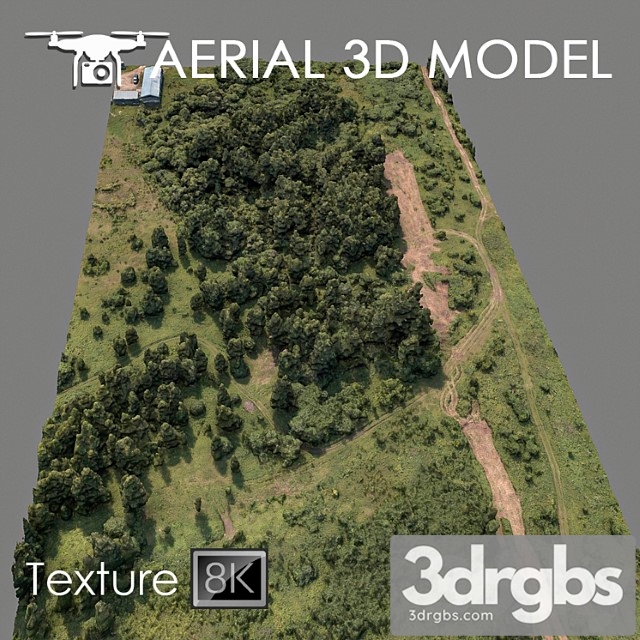 Forest 75 3dsmax Download - thumbnail 1