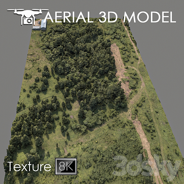 Forest 75 3DSMax File - thumbnail 1