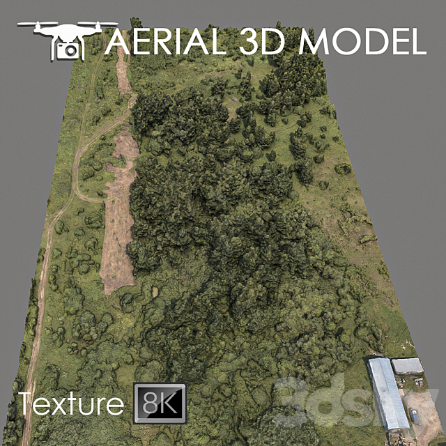 Forest 75 3DSMax File - thumbnail 2