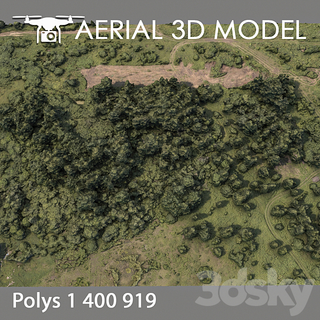 Forest 75 3DSMax File - thumbnail 3