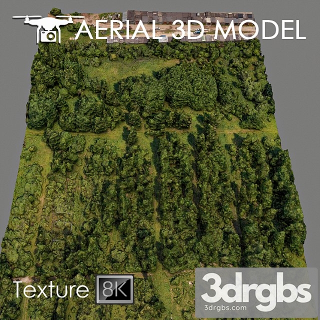 Forest 81 3dsmax Download - thumbnail 1