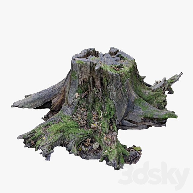 Large tree stump 3ds Max - thumbnail 1