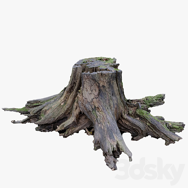 Large tree stump 3ds Max - thumbnail 2