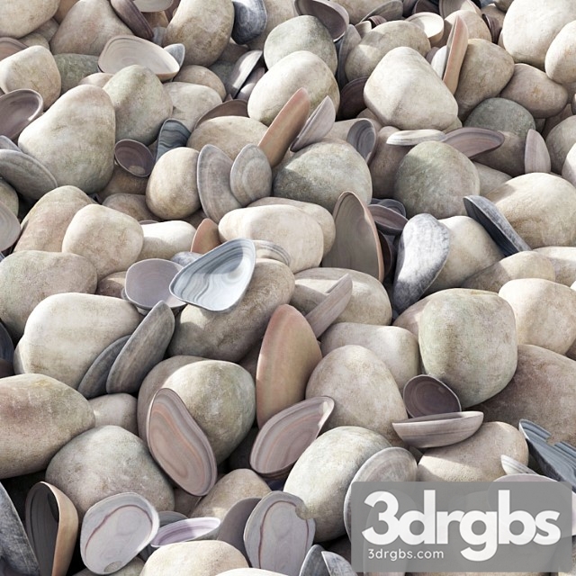 Pebble Sea Morskaia Galka 3dsmax Download - thumbnail 1