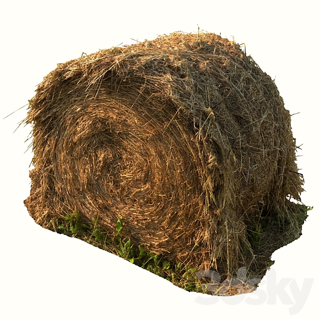 Round bale of hay 3DS Max Model - thumbnail 2