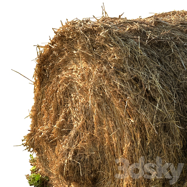 Round bale of hay 3DS Max Model - thumbnail 5