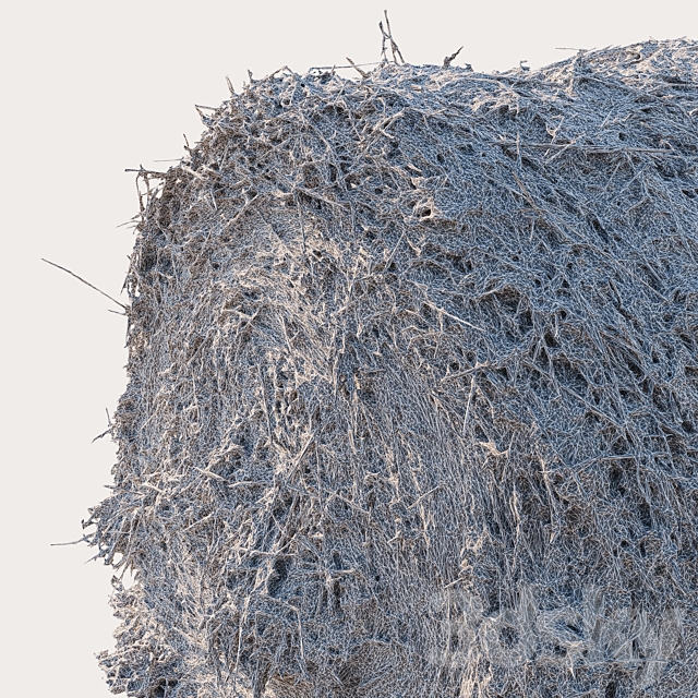 Round bale of hay 3DS Max Model - thumbnail 6