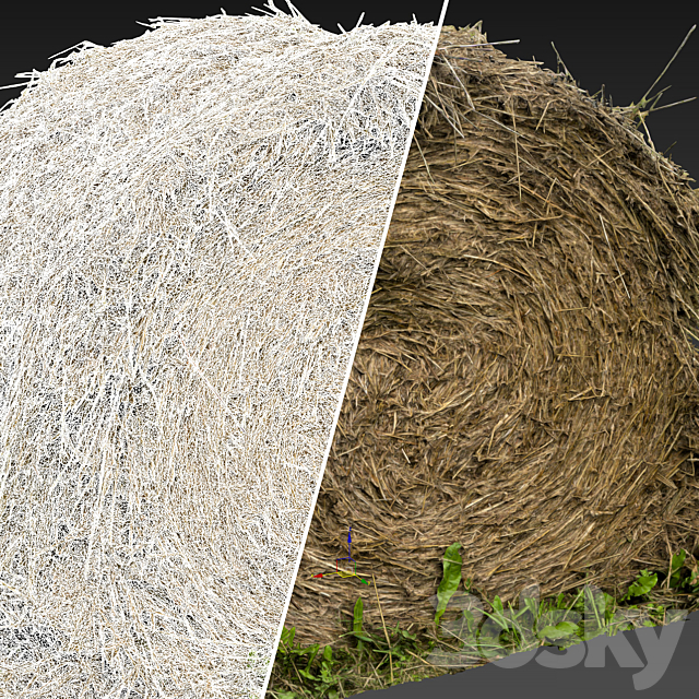 Round bale of hay 3DS Max Model - thumbnail 7