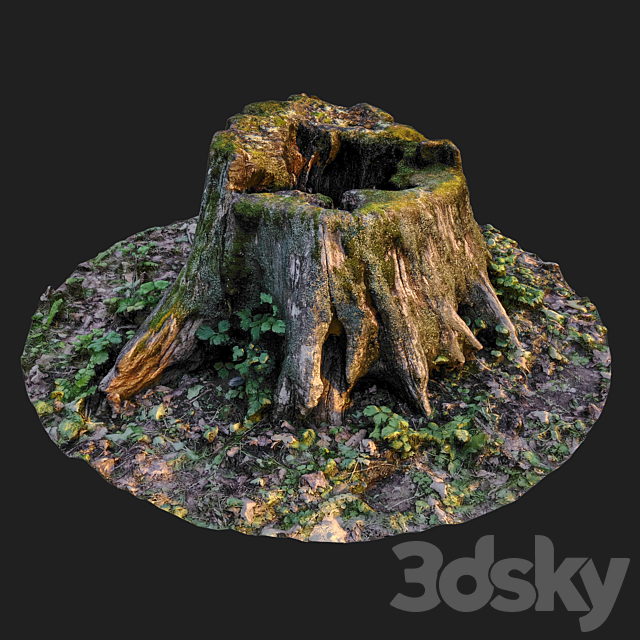 Stump 3ds Max - thumbnail 1