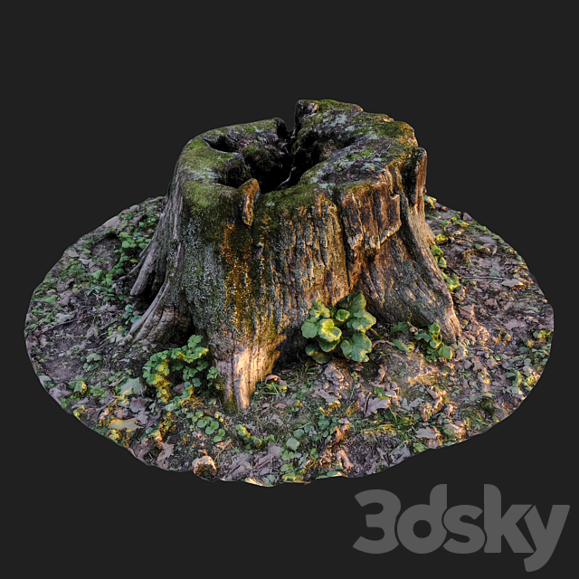 Stump 3ds Max - thumbnail 2