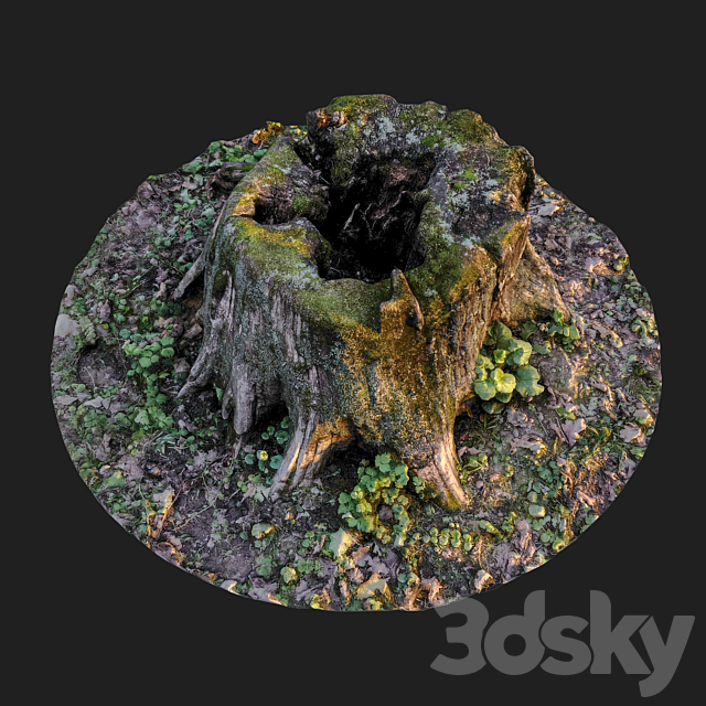 Stump 3ds Max - thumbnail 3