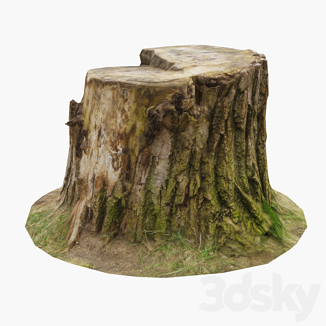 Stump 3ds Max - thumbnail 1