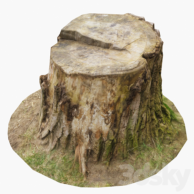 Stump 3ds Max - thumbnail 2