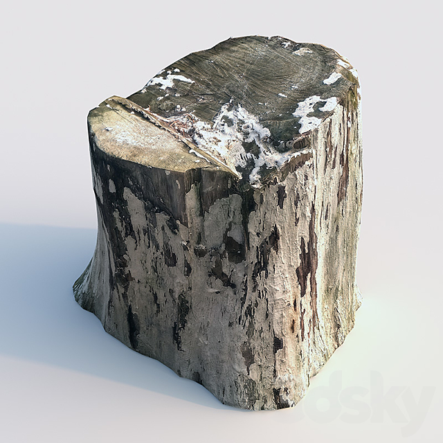 Stump 3DS Max Model - thumbnail 2