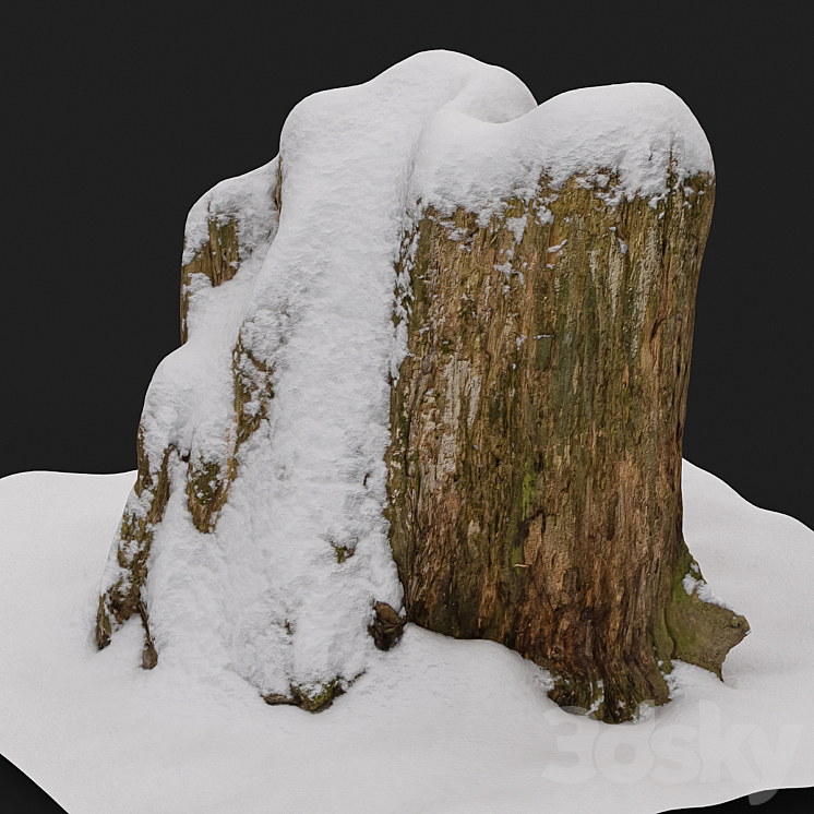 Stump under the snow 3DS Max - thumbnail 2