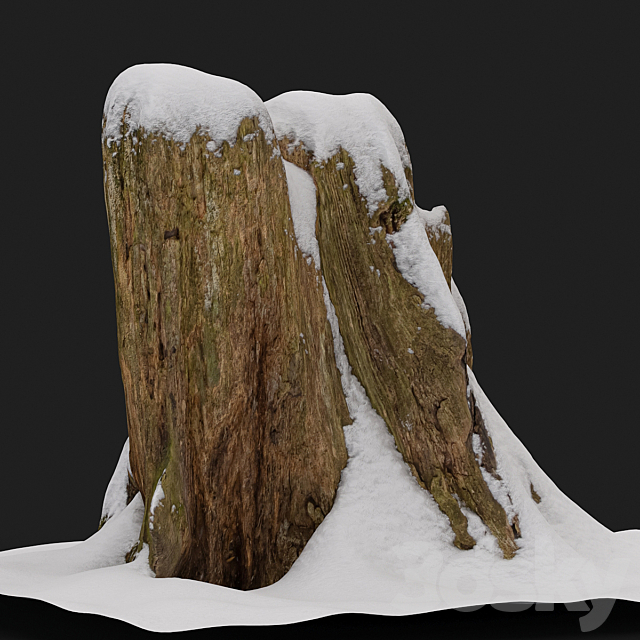 Stump under the snow 3DSMax File - thumbnail 4