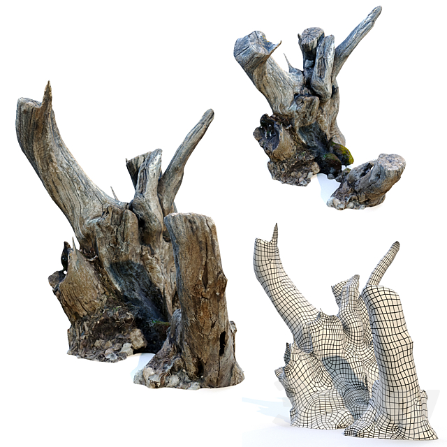 Tree stump _pack_2 3ds Max - thumbnail 3