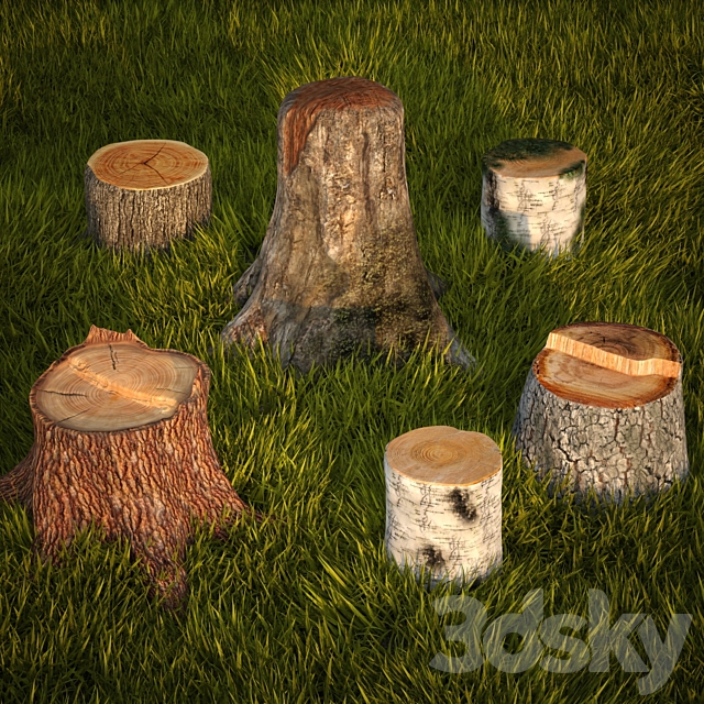 Tree stumps collection & grass 3DS Max Model - thumbnail 2