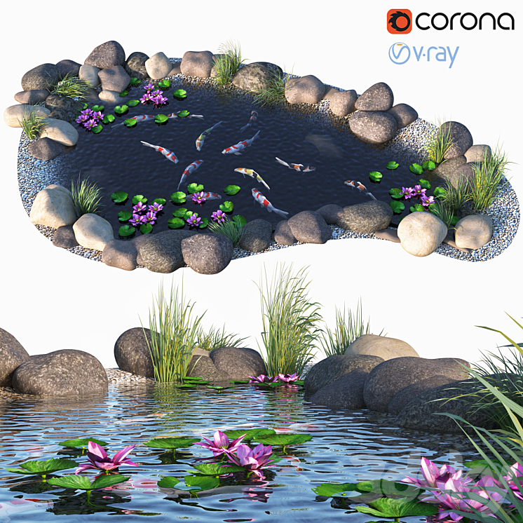 Water – Koi fish 3DS Max - thumbnail 1