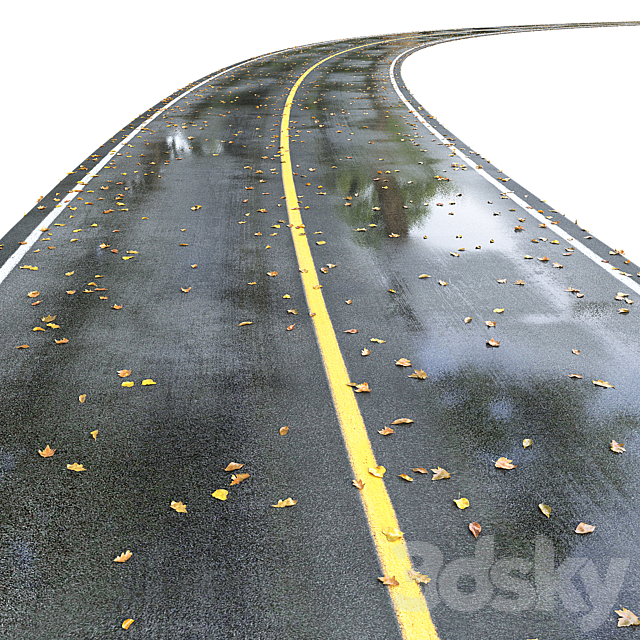 Wet road with markings. Autumn 3DS Max Model - thumbnail 2