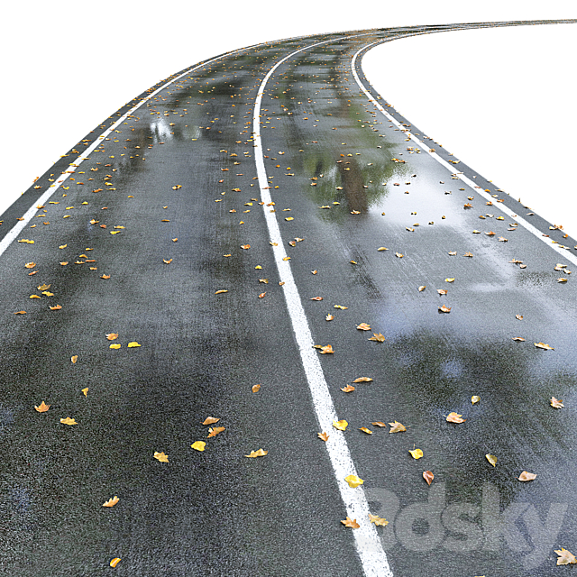 Wet road with markings. Autumn 3DS Max Model - thumbnail 3