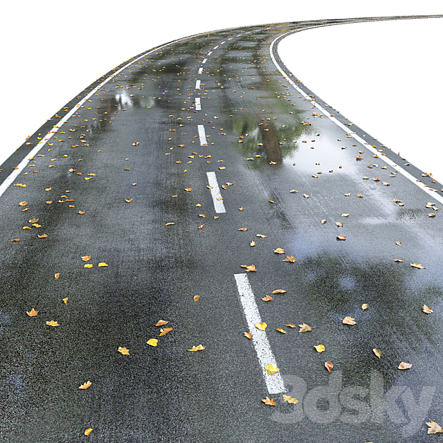 Wet road with markings. Autumn 3DS Max Model - thumbnail 4