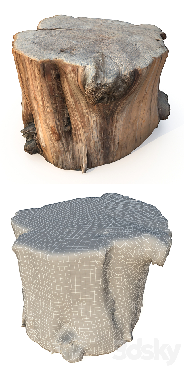 Wood stump 3DSMax File - thumbnail 2