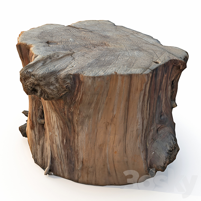 Wood stump 3DSMax File - thumbnail 3