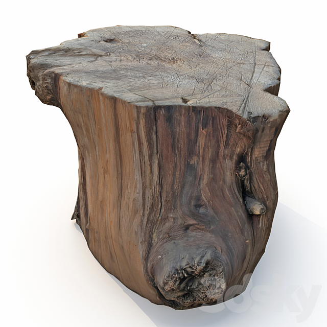 Wood stump 3DSMax File - thumbnail 4