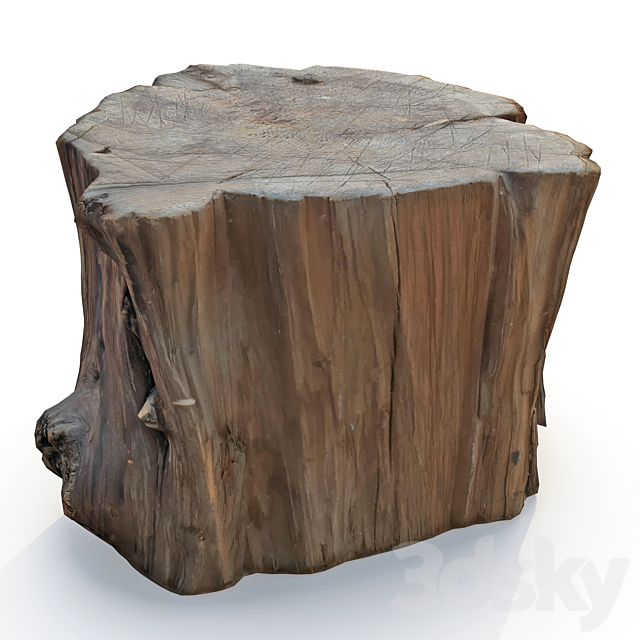 Wood stump 3DSMax File - thumbnail 5