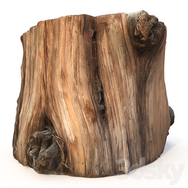 Wood stump 3DSMax File - thumbnail 6