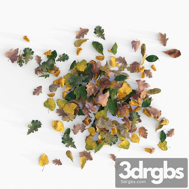 Autumn Leaves 3dsmax Download - thumbnail 1