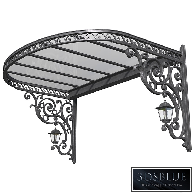 Awning over the porch. A visor over the front door. Wrought iron ?anopy 3DS Max - thumbnail 3